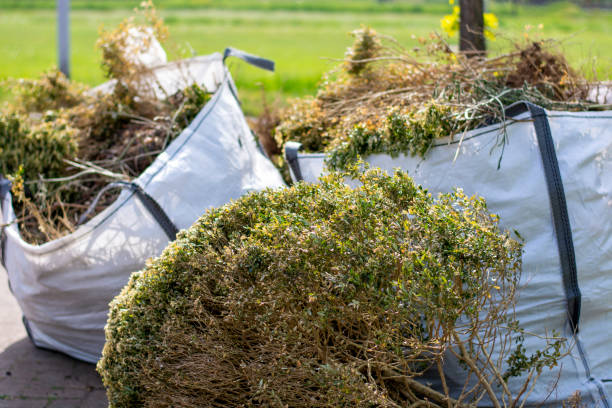 Best Shed Removal  in Mesita, NM