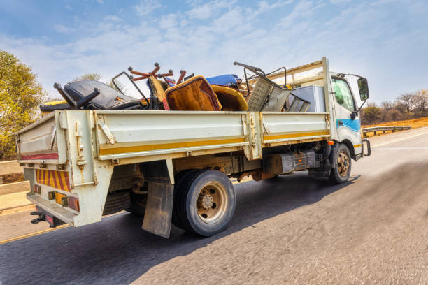 Best Office Cleanout  in Mesita, NM